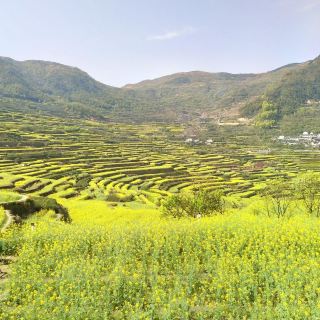 覆卮山景区