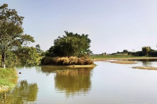 鹤之洲湿地公园