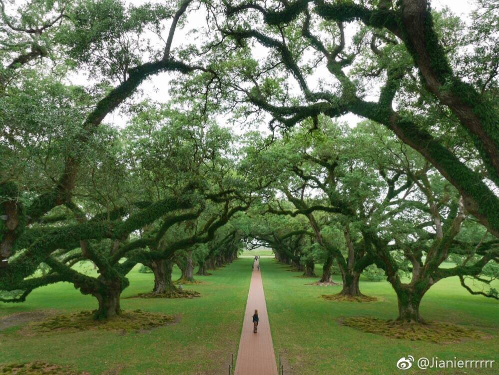 橡树庄园旅游景点攻略图