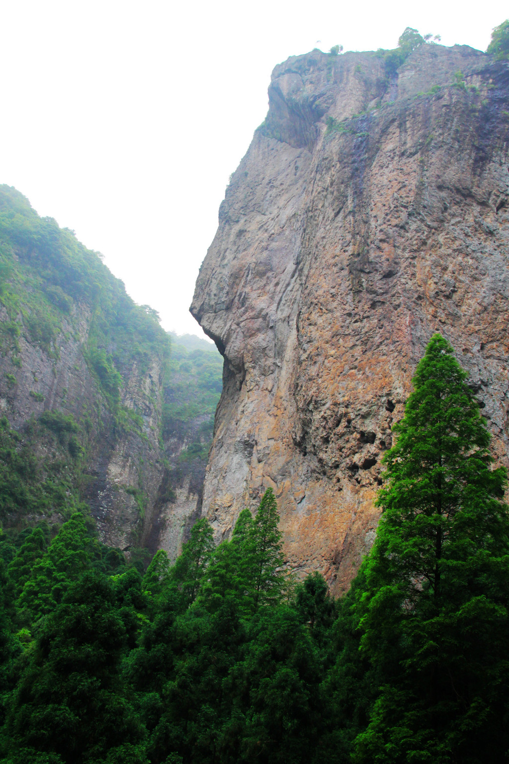 我发现了一块像人脸的山峰,雁荡山的岩就是这么神奇,处处能找到象形石