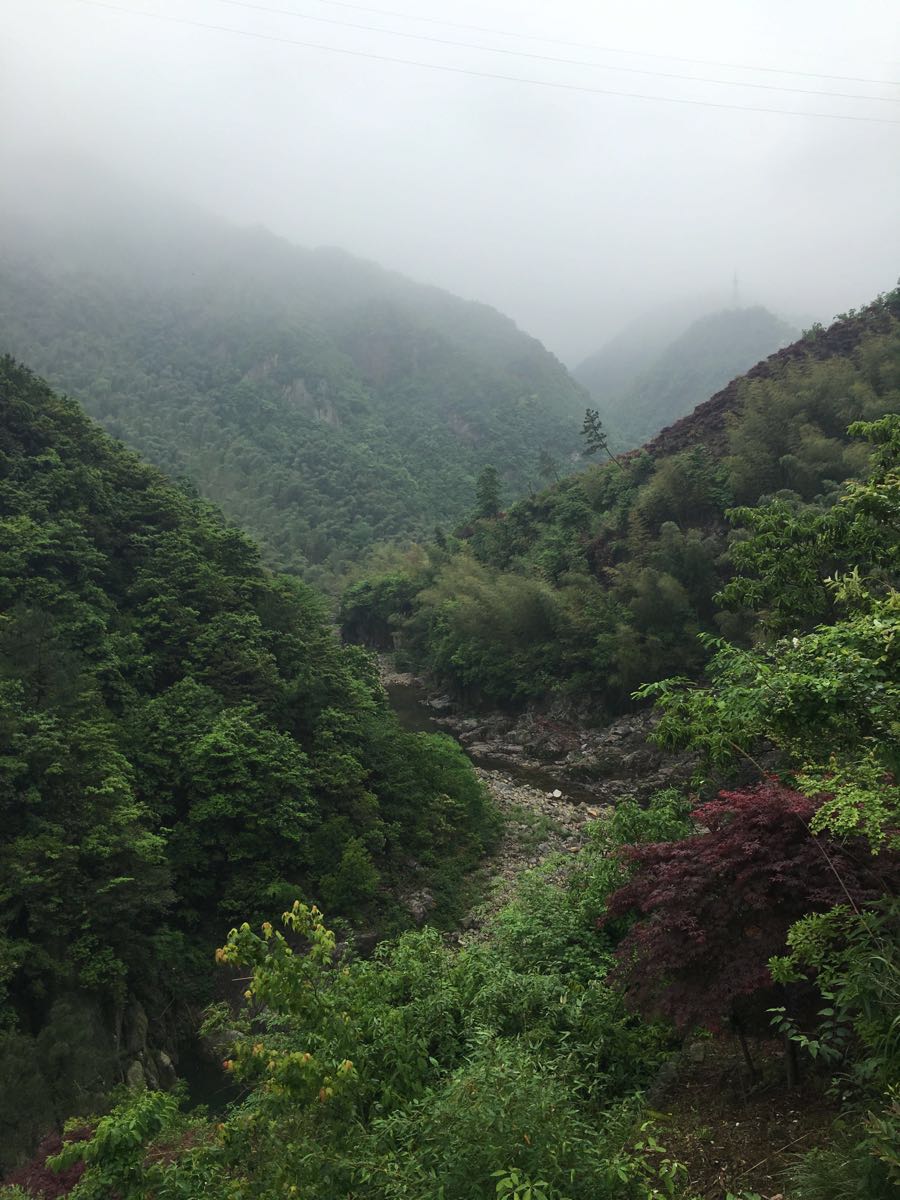 四明山国家森林公园旅游景点攻略图