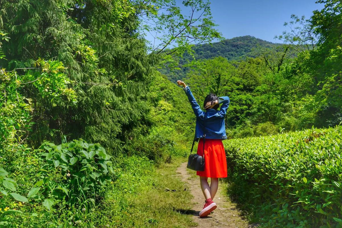 2019东钱湖福泉山景区游玩攻略,满眼的绿色,感觉是在.