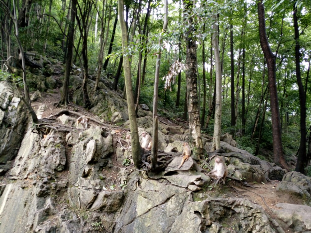 黔灵山公园