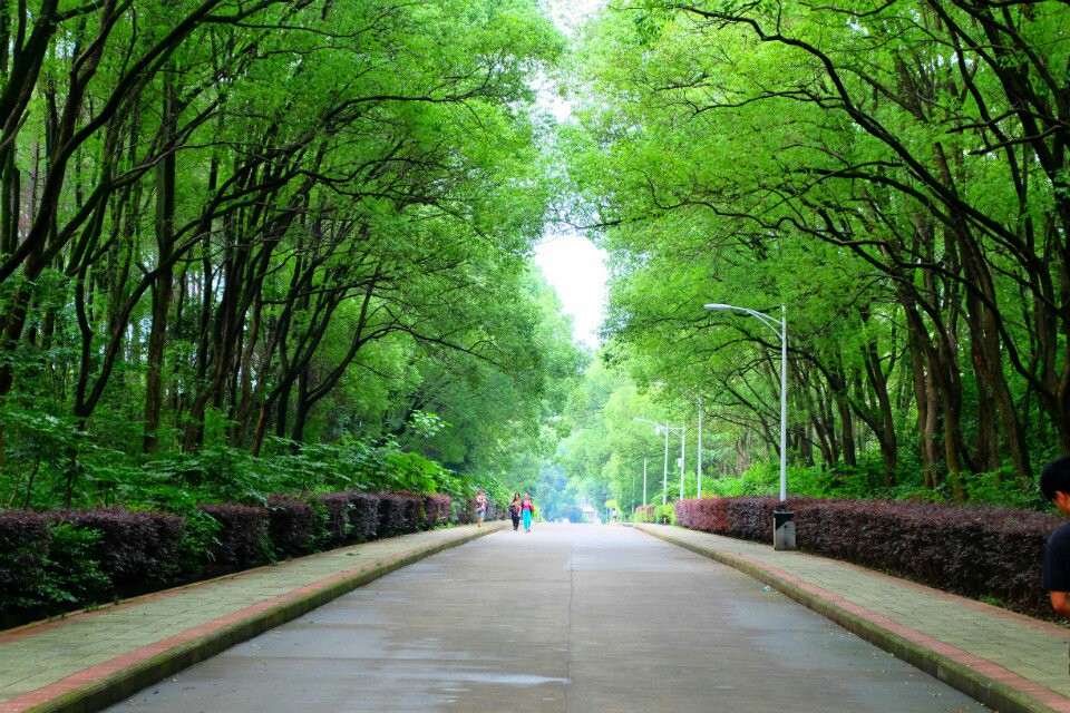 江西省林业科学院