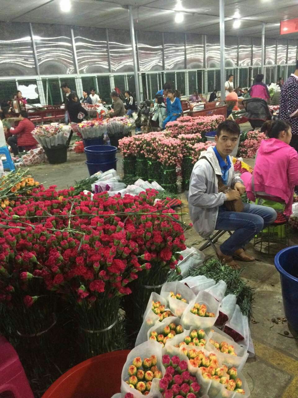 斗南花卉市场