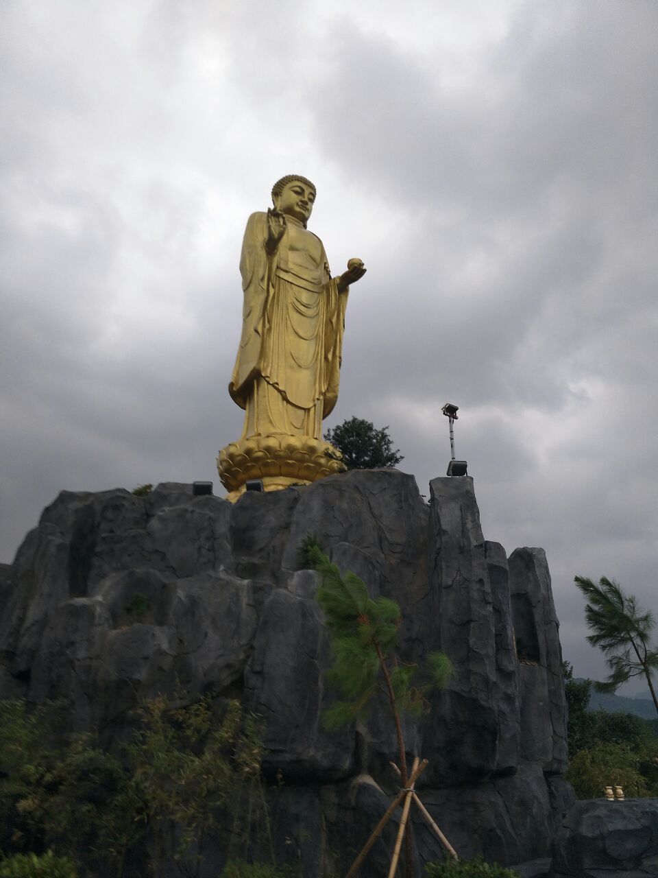 2022鲤龙潭森林公园-旅游攻略-门票-地址-问答-游记点评,象山旅游旅游
