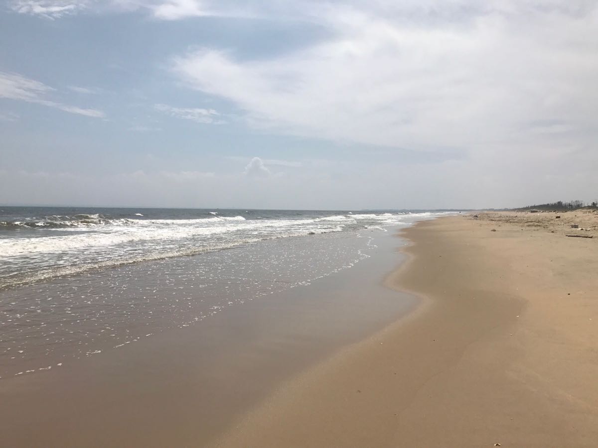 龙海天