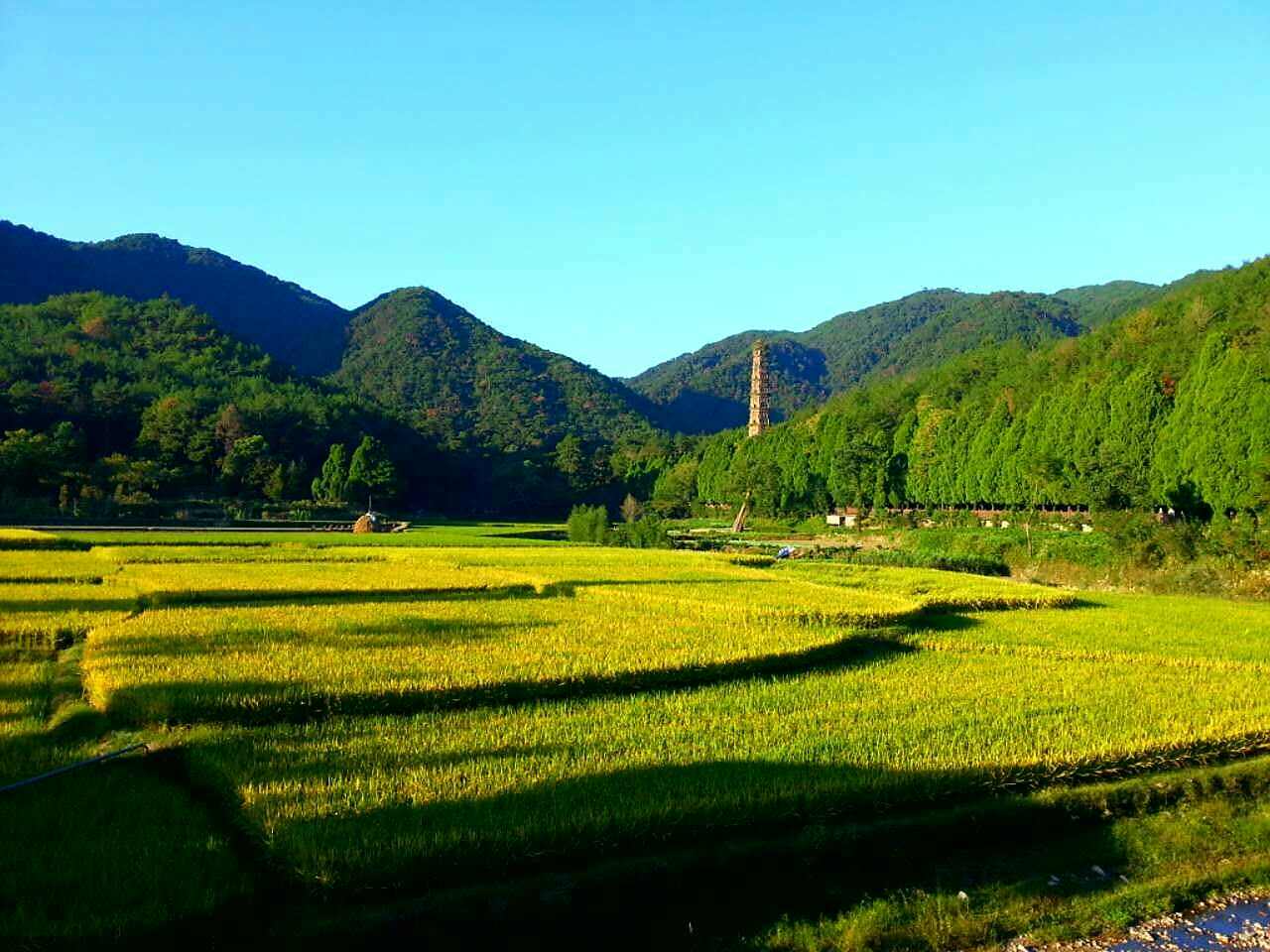 徰