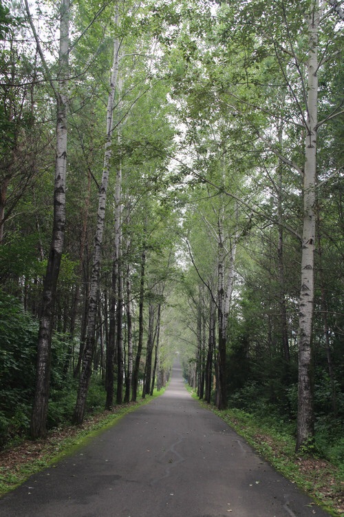 小兴安岭植物园