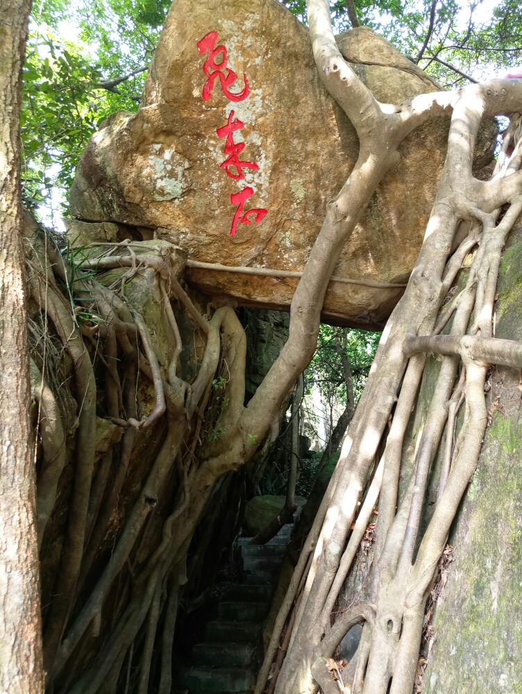 大岭山森林公园