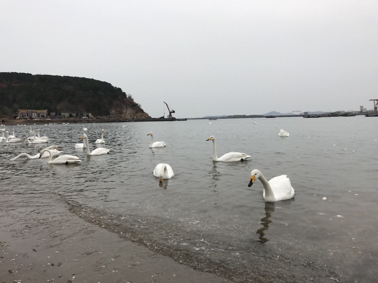 2019烟墩角_旅游攻略_门票_地址_游记点评,荣成旅游景点推荐 - 去哪儿
