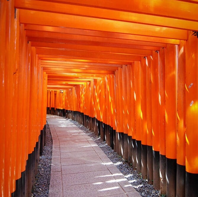 千本鸟居,那个艺妓回忆录在这里取景过,据说鸟居是日本神社的建筑