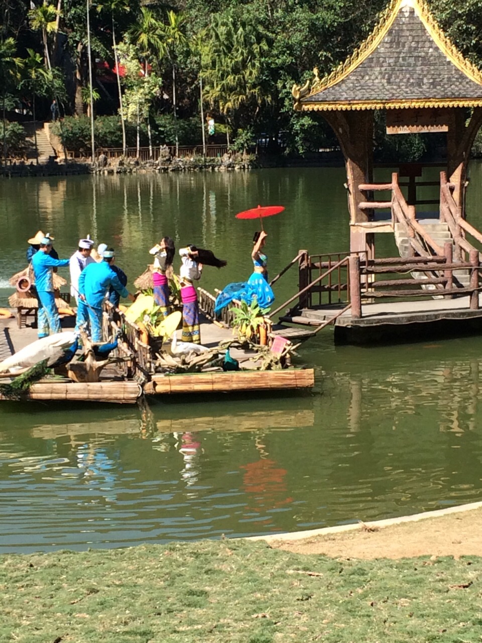西双版纳原始森林公园旅游景点攻略图