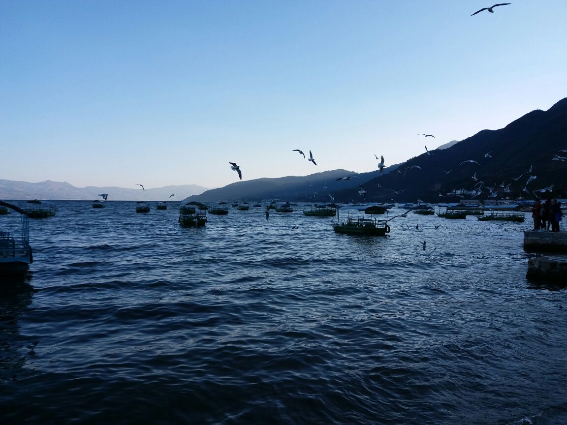 2019禄充风景区_旅游攻略_门票_地址_游记点评,澄江