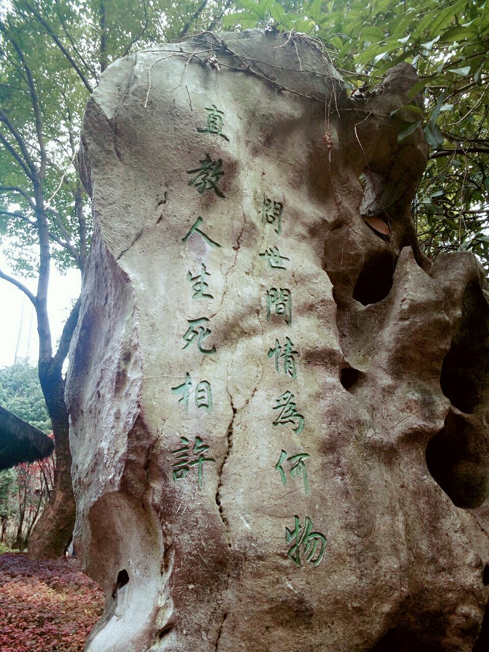 (两首衩头凤从小就很喜欢,所以来之前也对沈园抱有特殊的感情) 2017