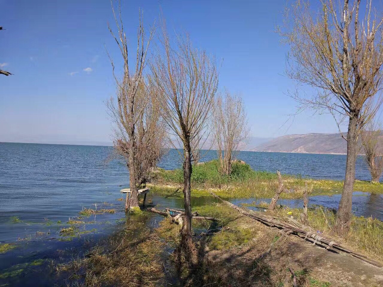 洱海月湿地公园