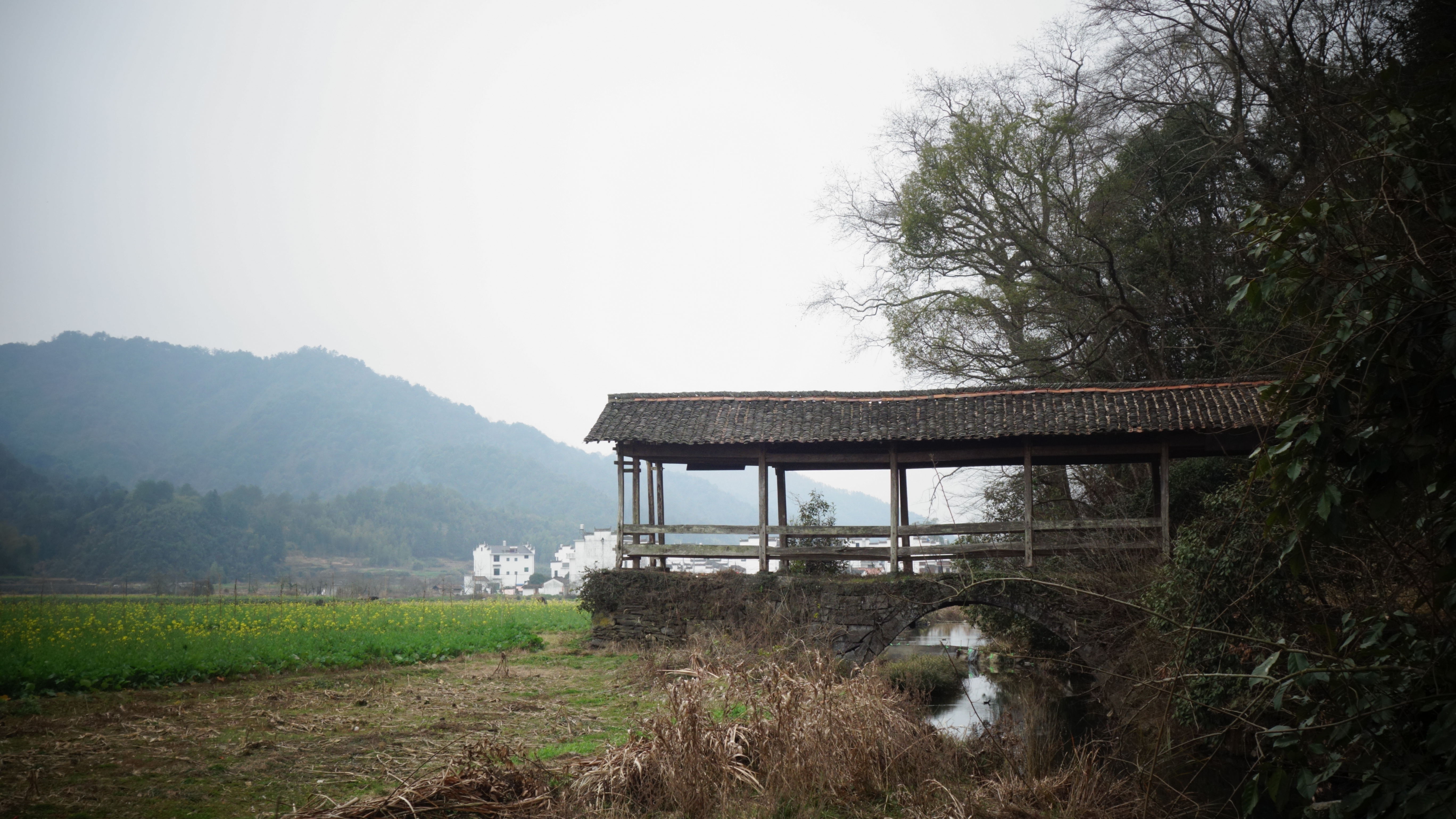 婺源严田