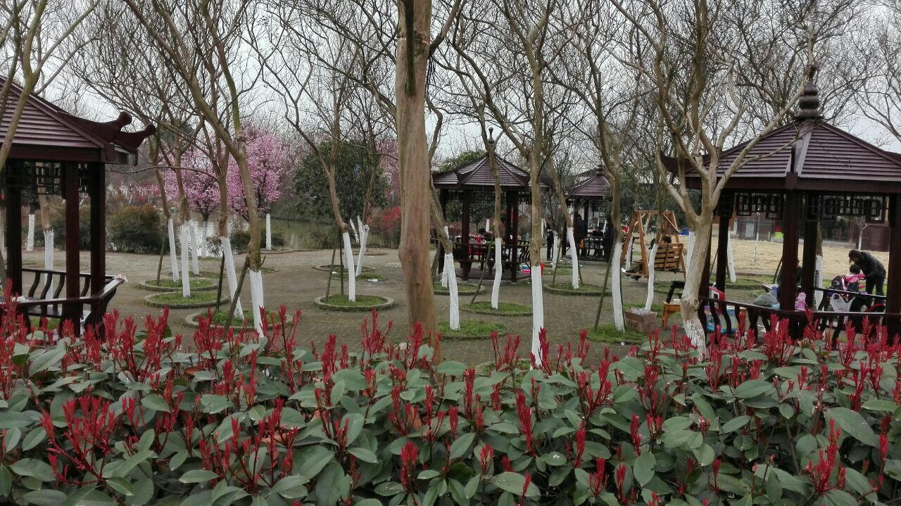 紫薇都市田园