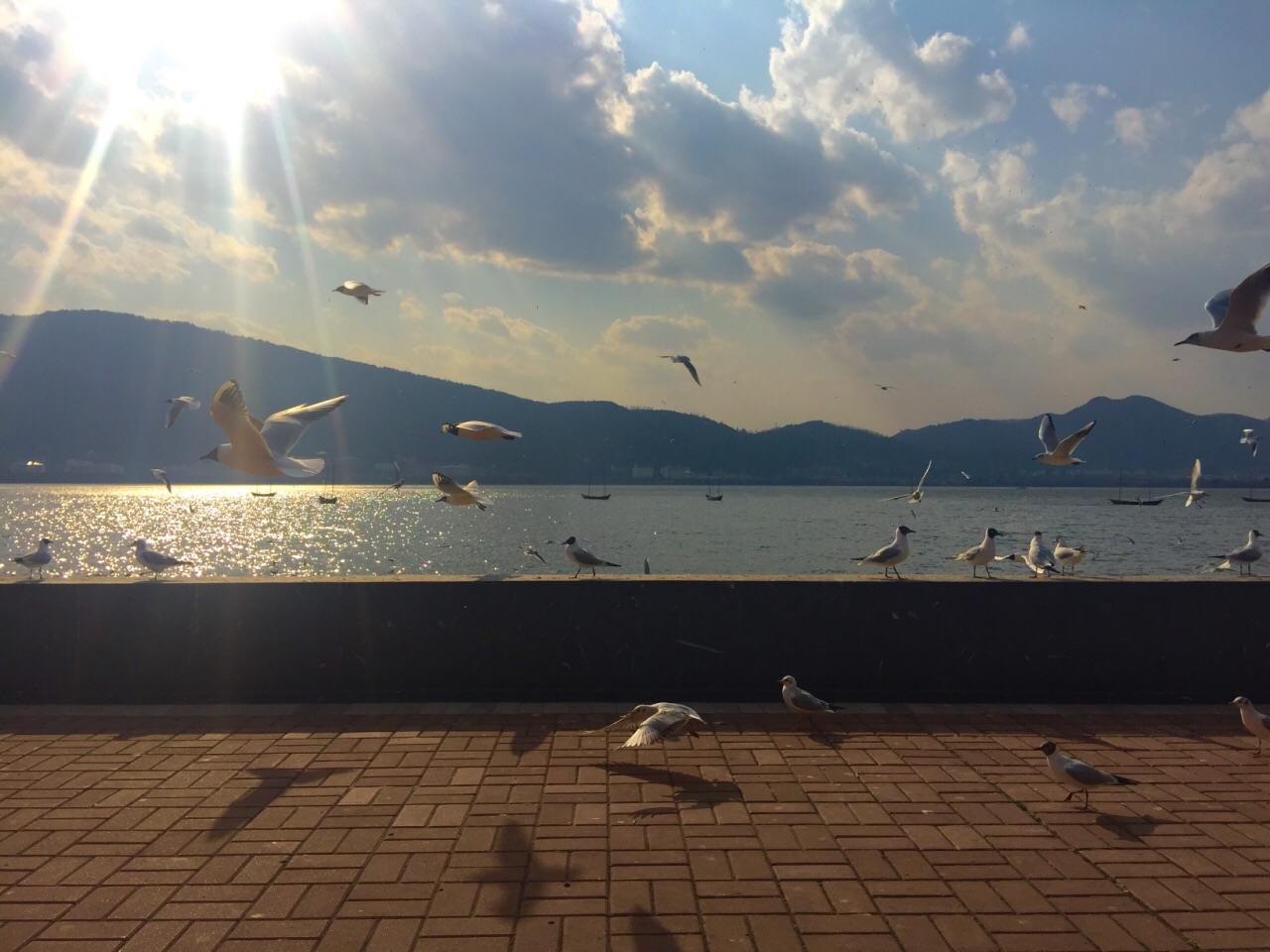 滇池旅游景点攻略图