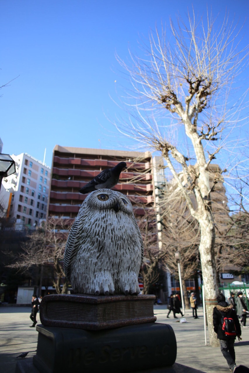池袋西口公园 携程网