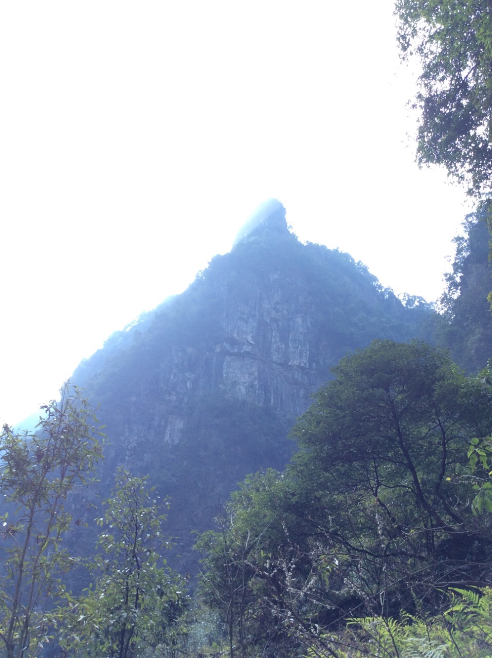 酉阳笋岩大峡谷旅游景点攻略图