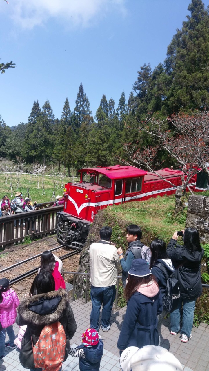 阿里山国家风景区旅游景点攻略图