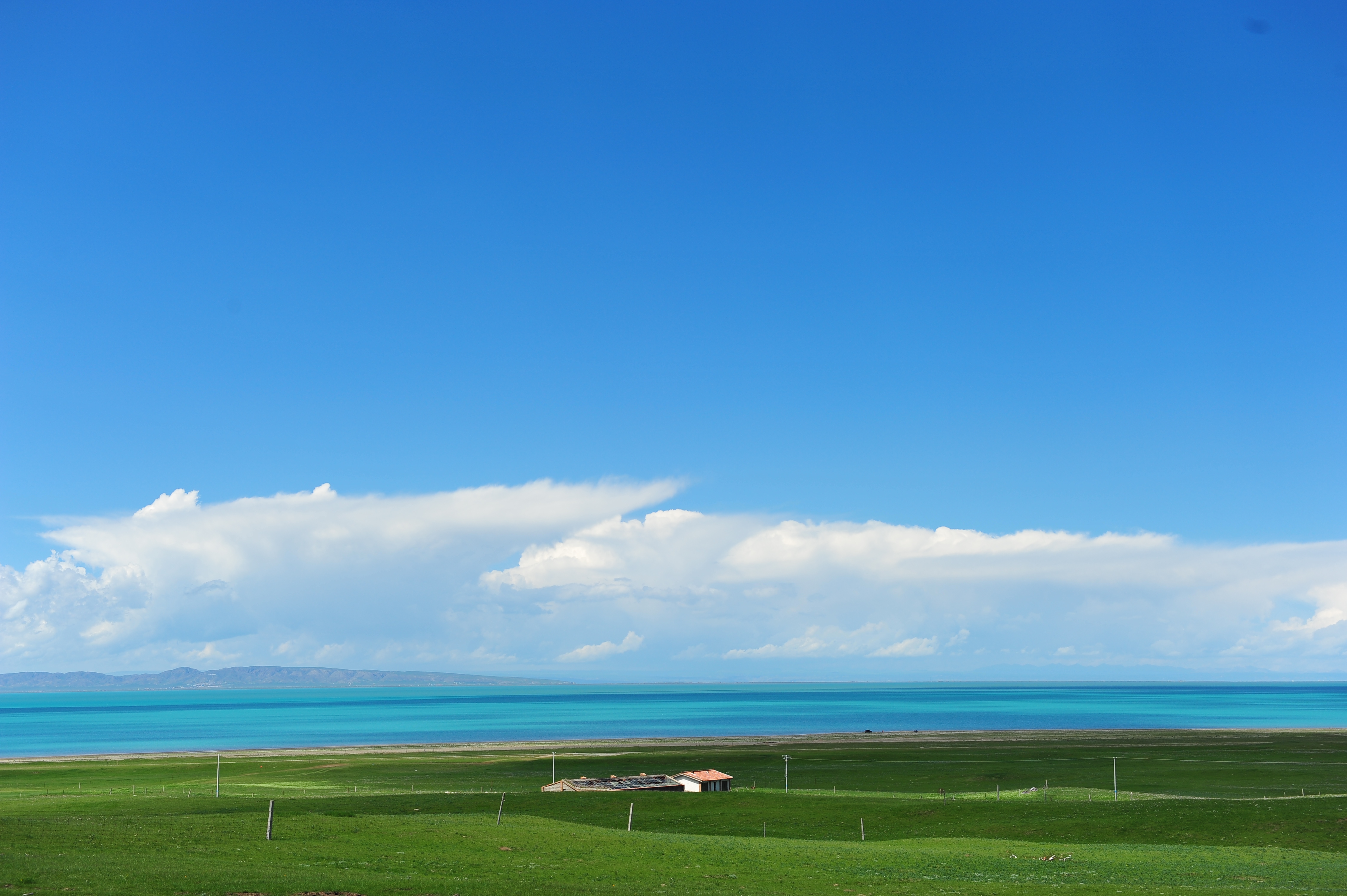 环湖骑行,纵横在青海湖深处