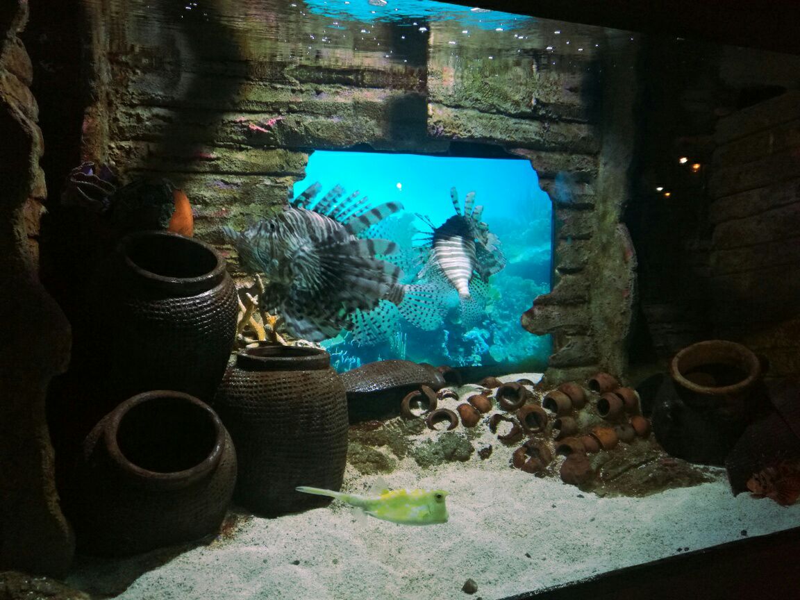 吉隆坡水族馆旅游景点攻略图