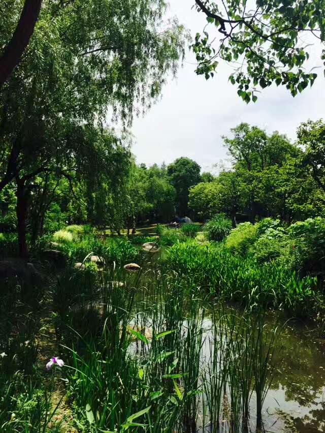 世博后滩湿地公园旅游景点攻略图