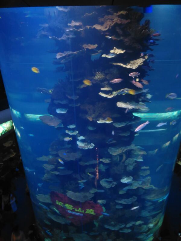 青岛海底世界