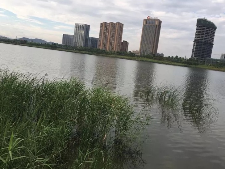 【携程攻略】上虞曹娥江好玩吗,上虞曹娥江景点怎么样