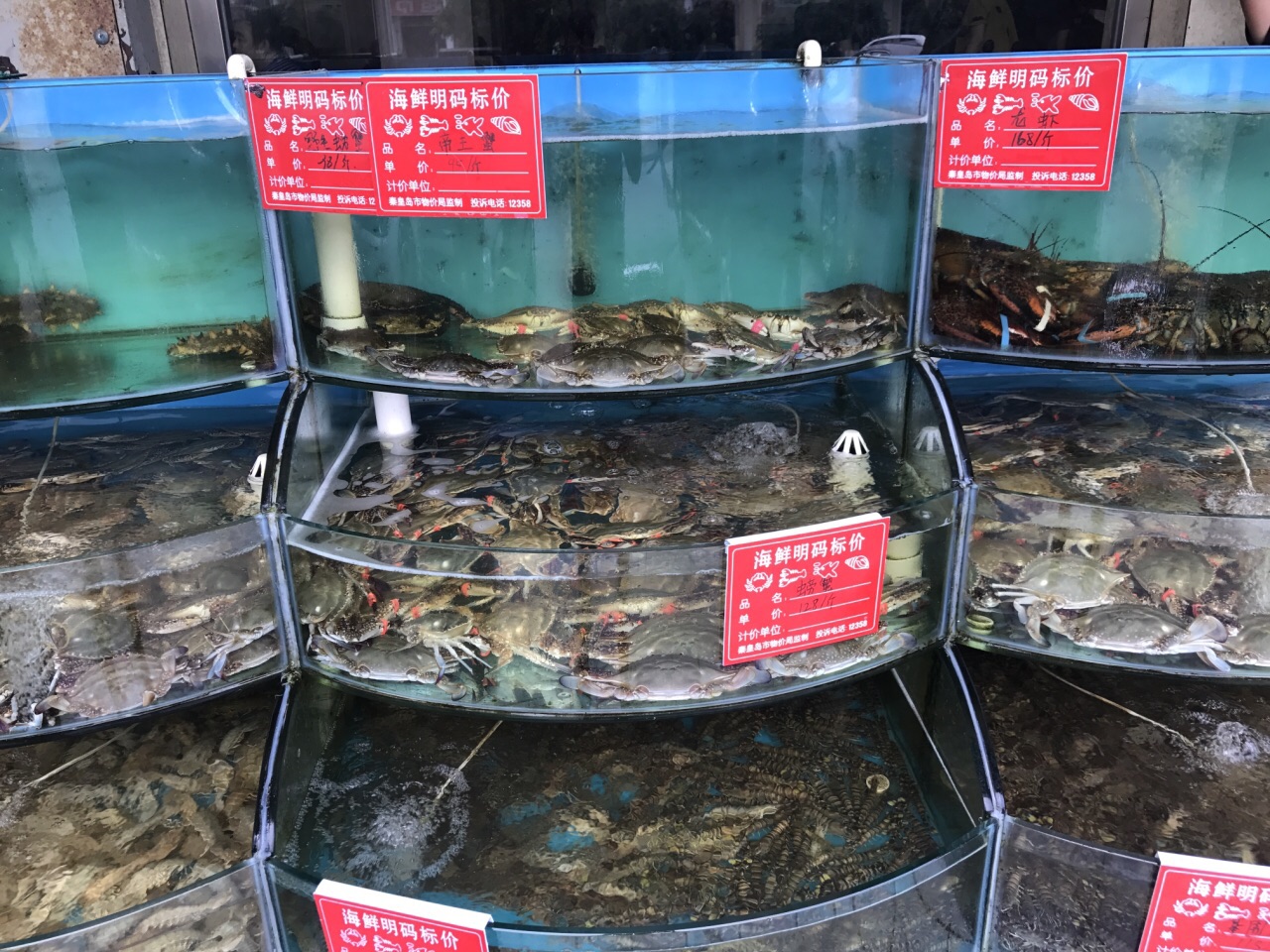 夏都宾馆海鲜大咖家常菜