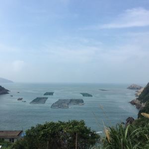 大陈岛旅游景点攻略图