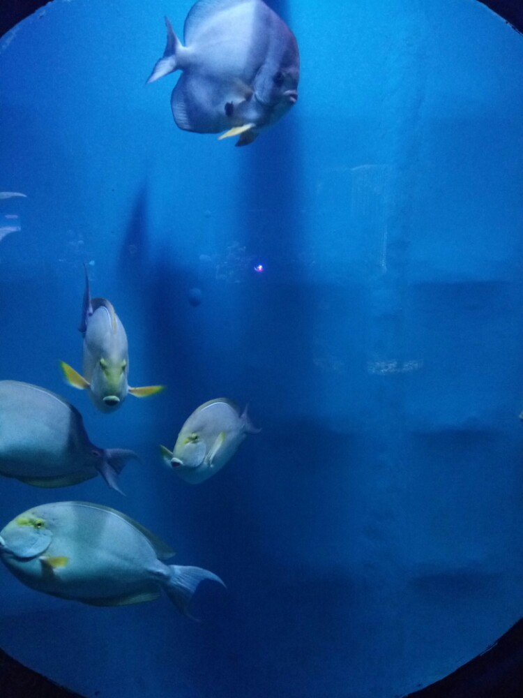 哈尔滨极地馆