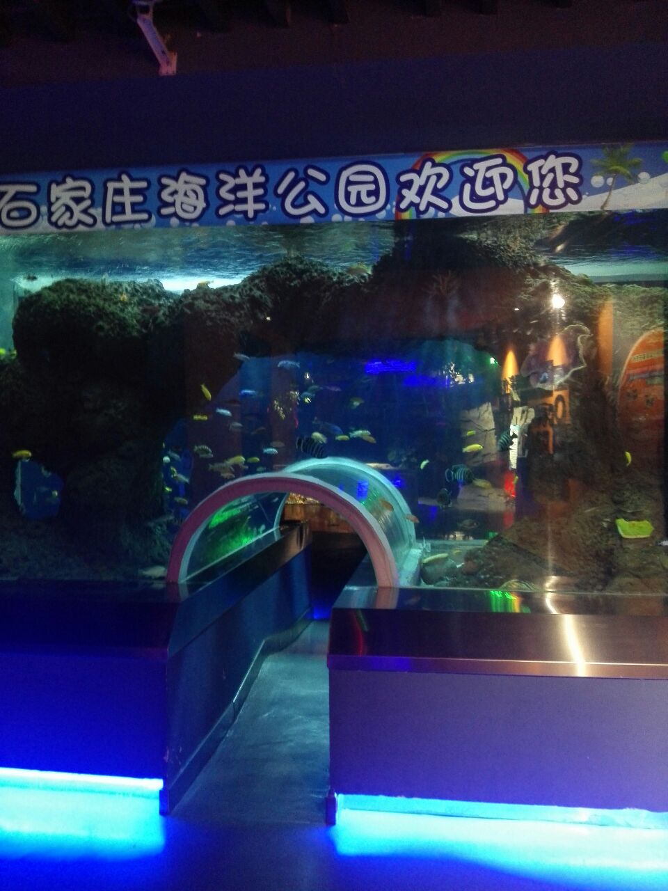 石家庄海洋公园