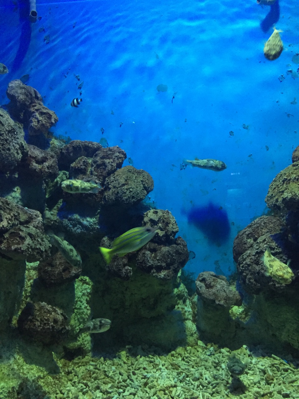 罗源湾海洋世界