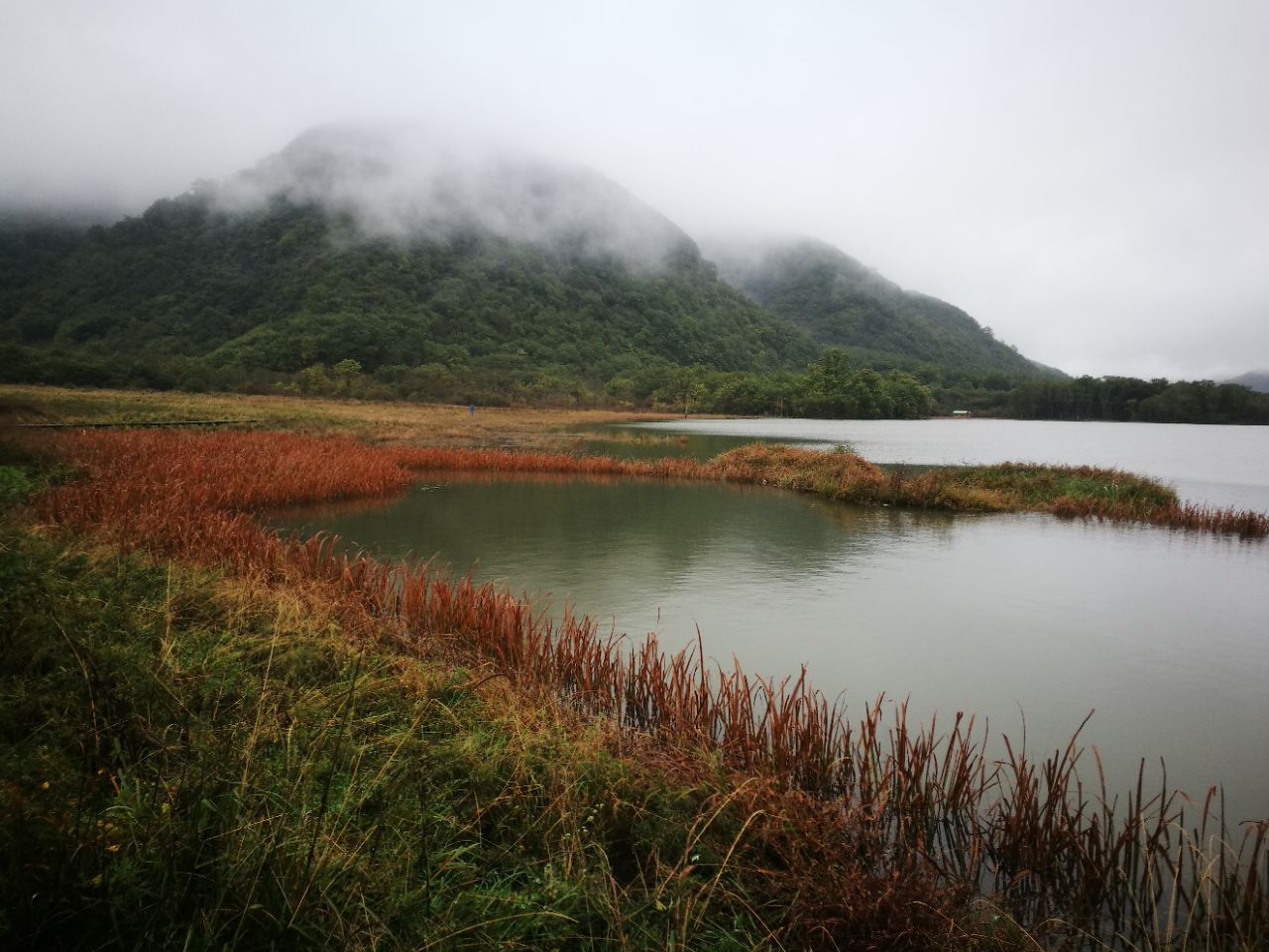 这次来神龙架,天公不作美,雨下个不停,但大九湖的景色,雨天也格外