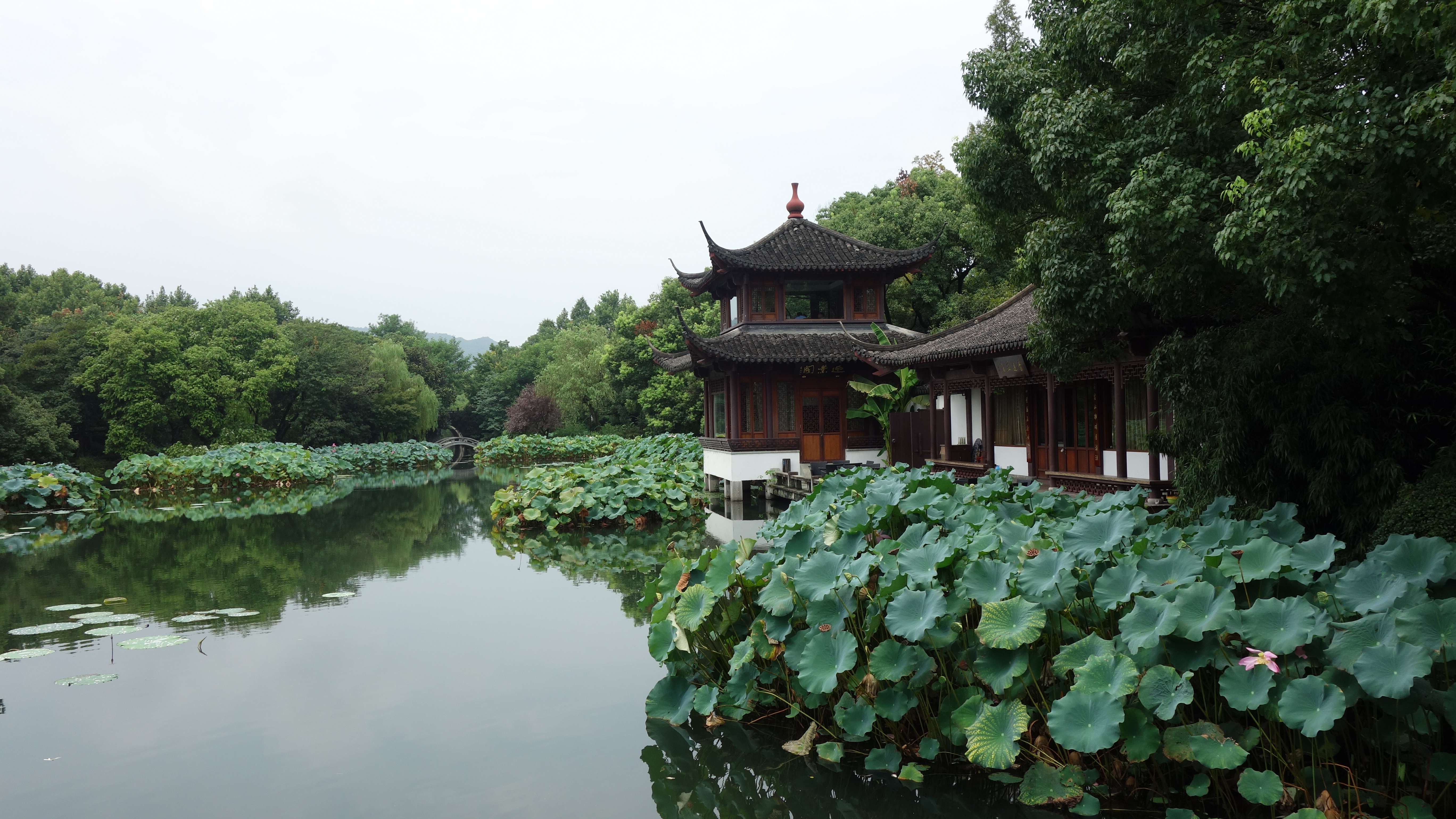 曲院风荷旅游景点攻略图