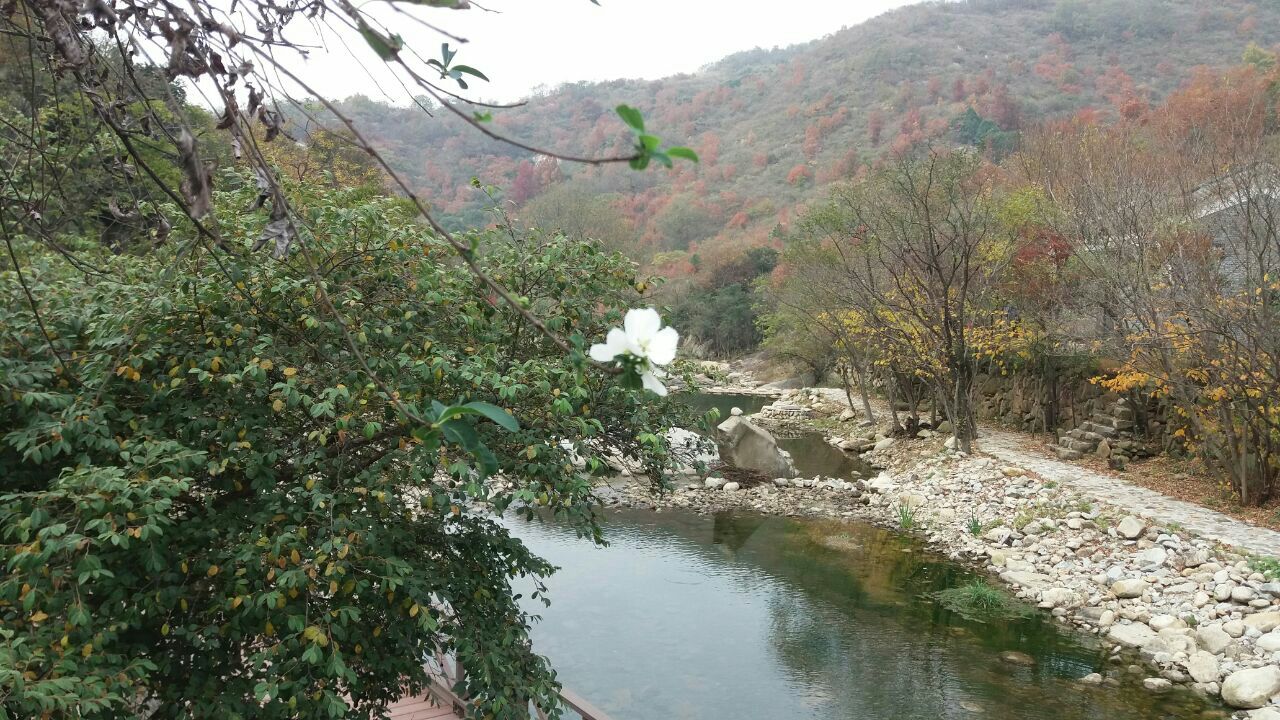 姚家山风景区