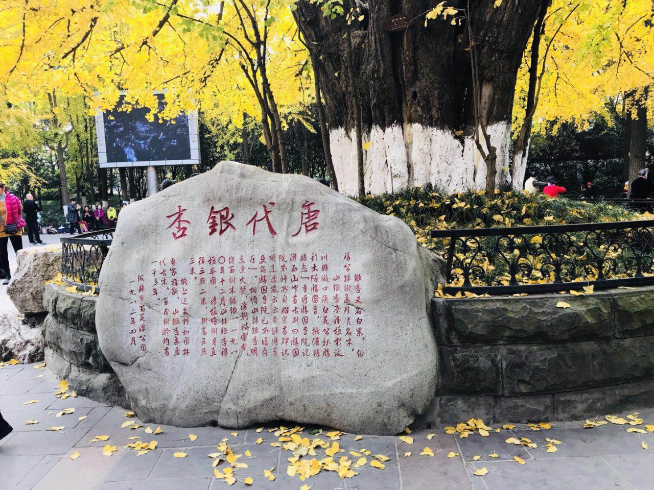 百花潭公园