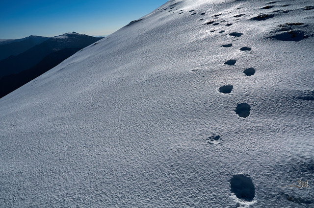 亮冰闪闪的山脊,我们踩着神牛脚印,亦步亦趋……脚印延伸,成为了路
