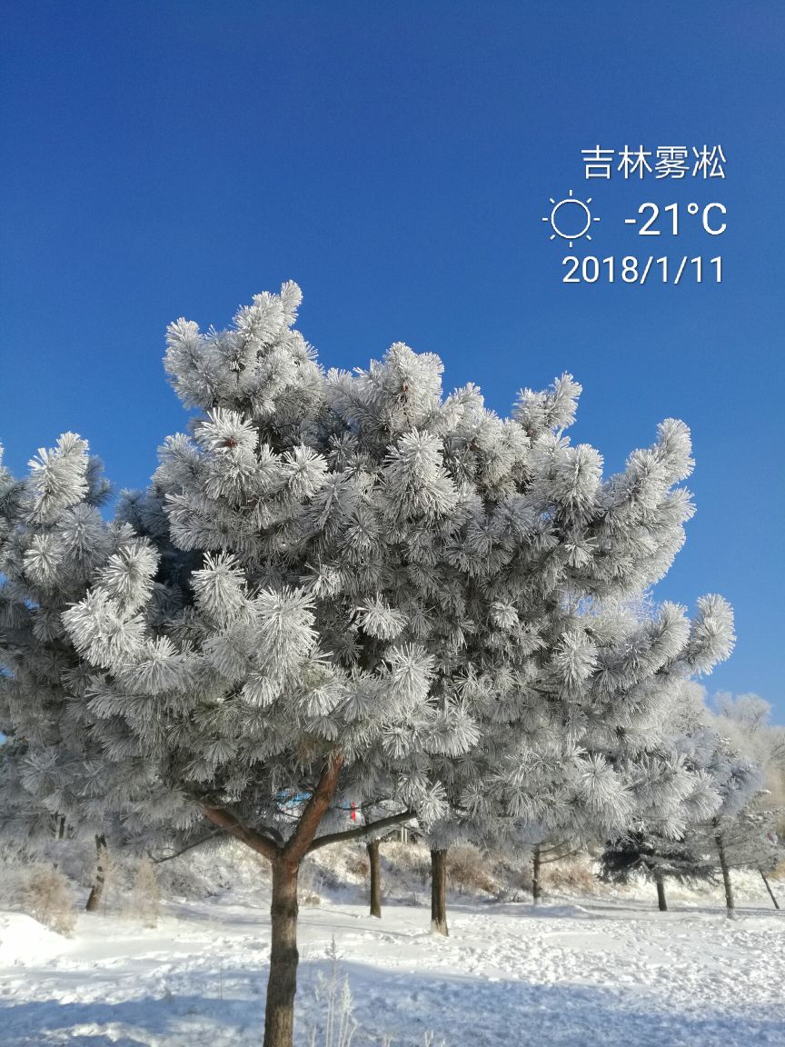 雾凇岛旅游景点攻略图