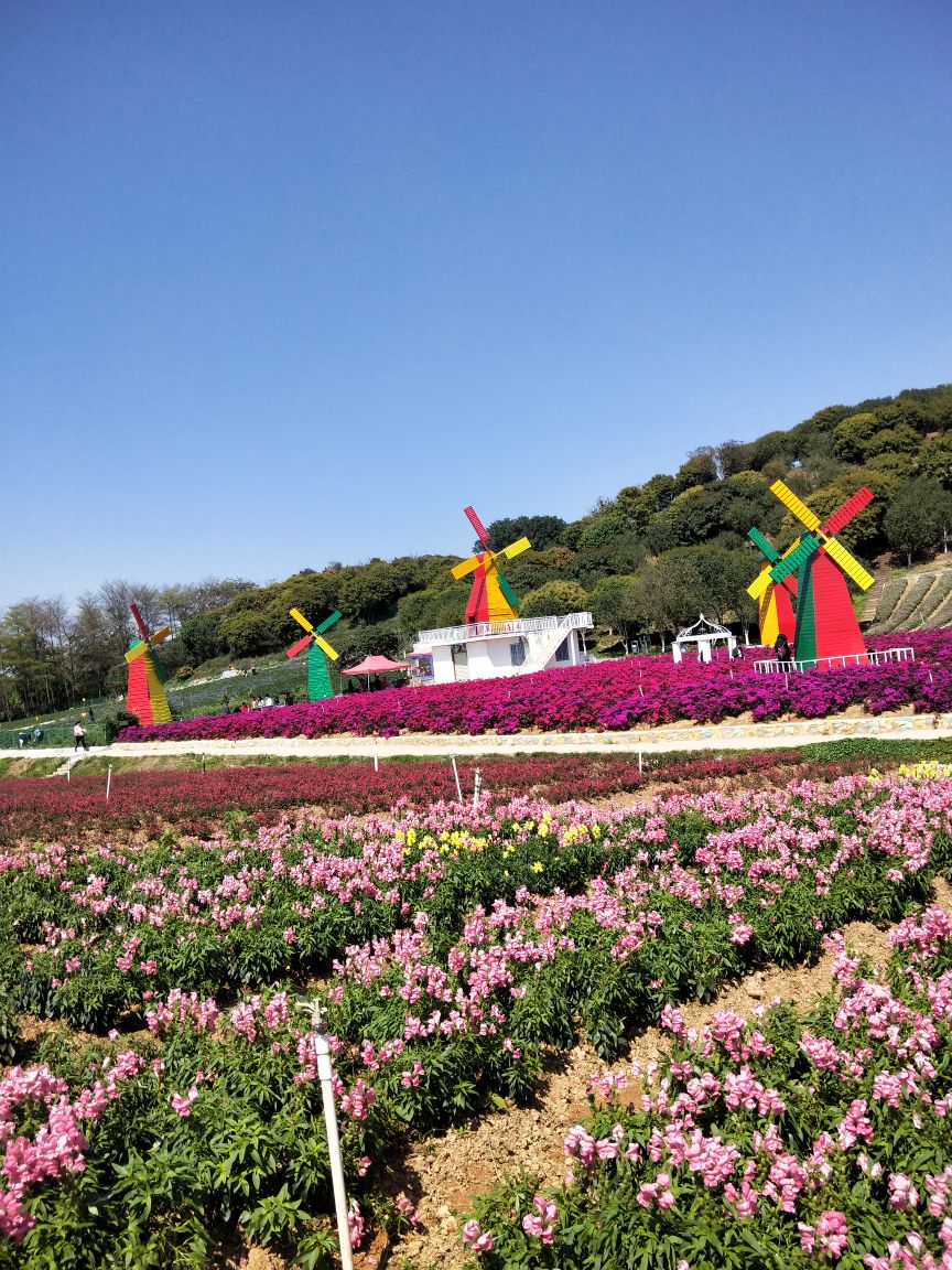 东莞梦幻百花洲好玩吗,东莞梦幻百花洲景点怎么样