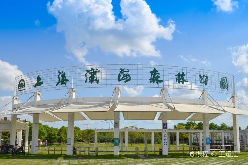 上海滨海森林公园