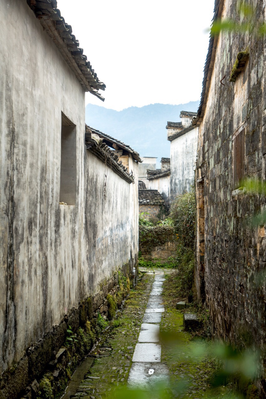 欧洲 北美洲 大洋洲 南美洲 非洲 南极洲  安徽黟县屏山,这个千年古村