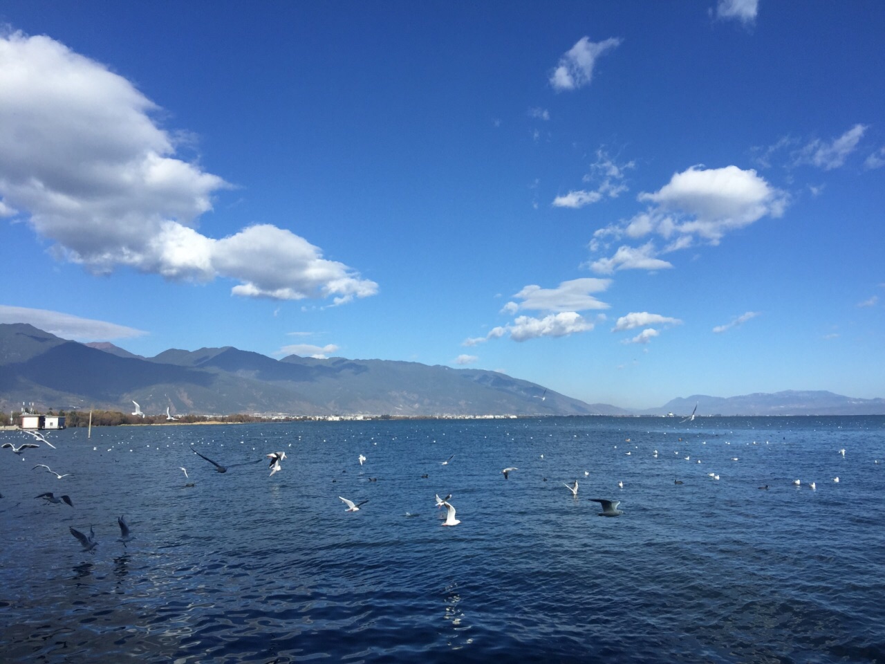 海埂公园旅游景点攻略图