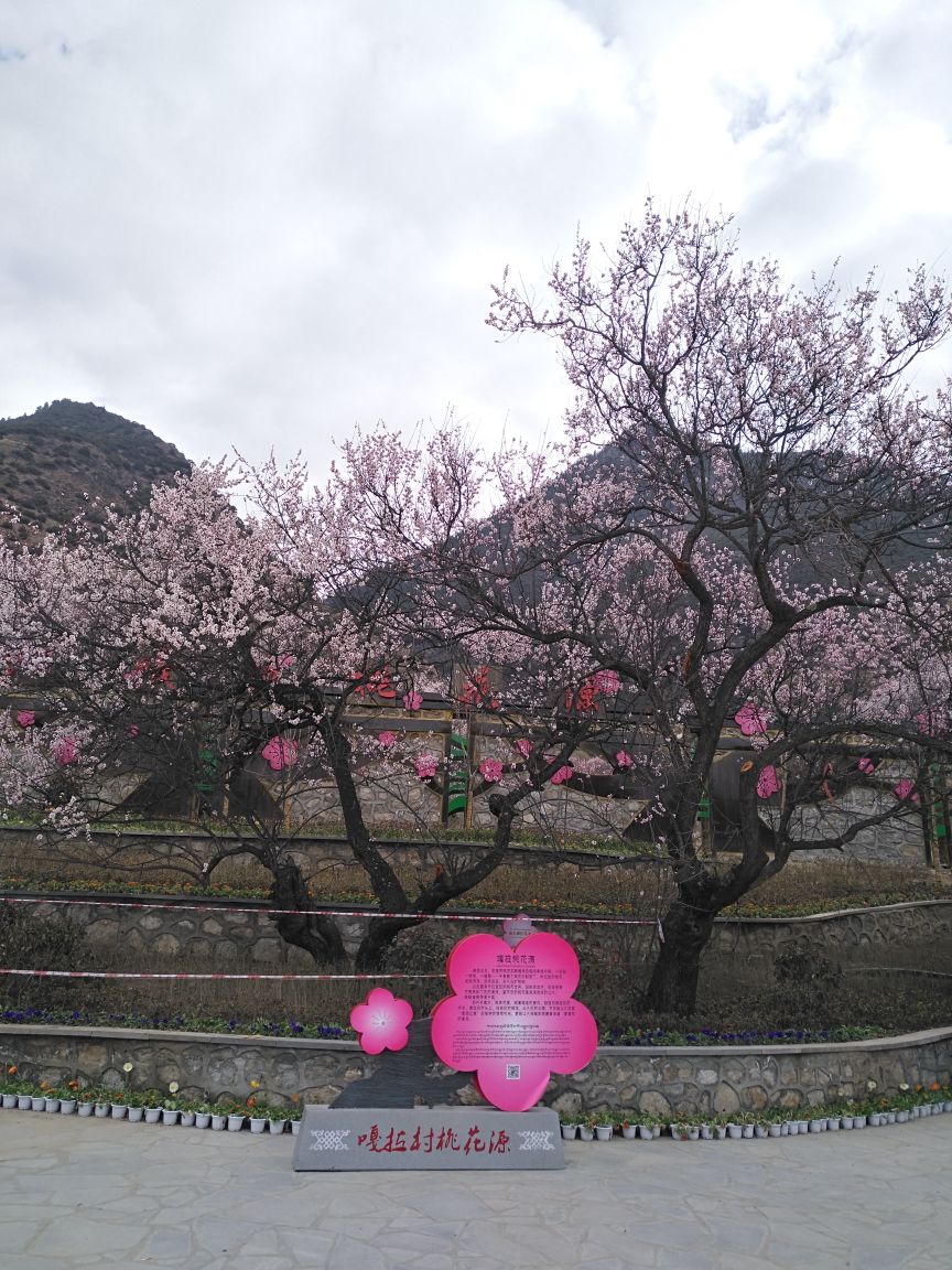 桃花沟