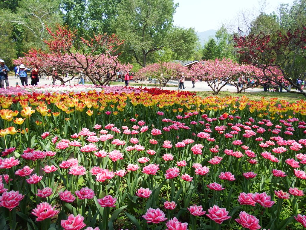 北京植物园