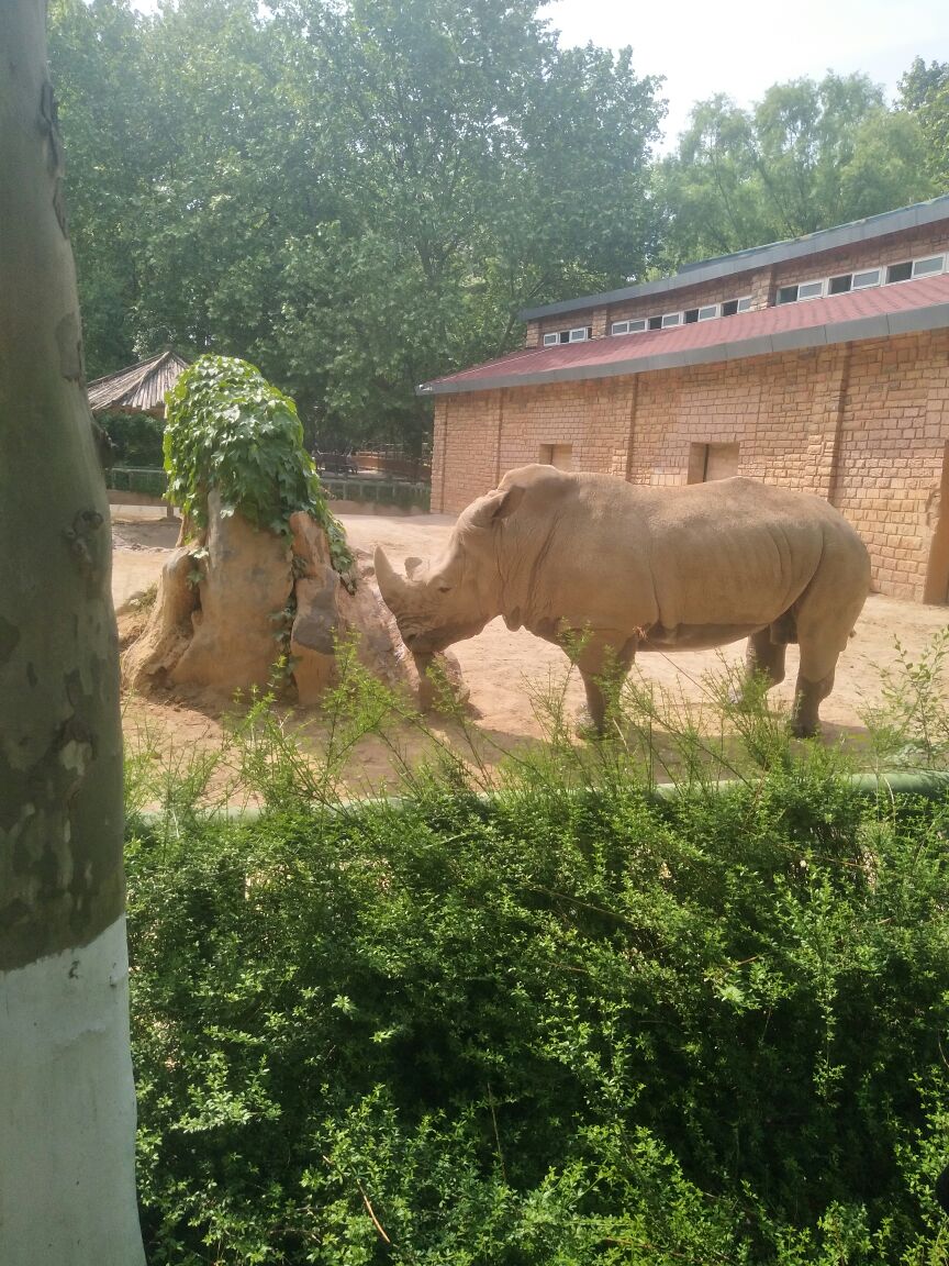 2018郑州动物园_旅游攻略_门票_地址_游记点评,郑州旅游景点推荐 - 去