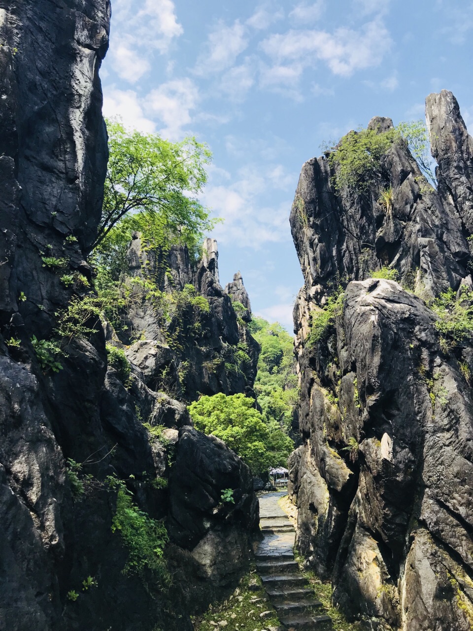 玉石林风景区